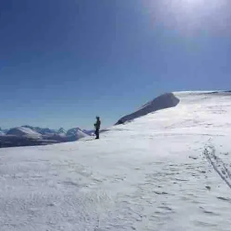 Bright, Pleasant Molde